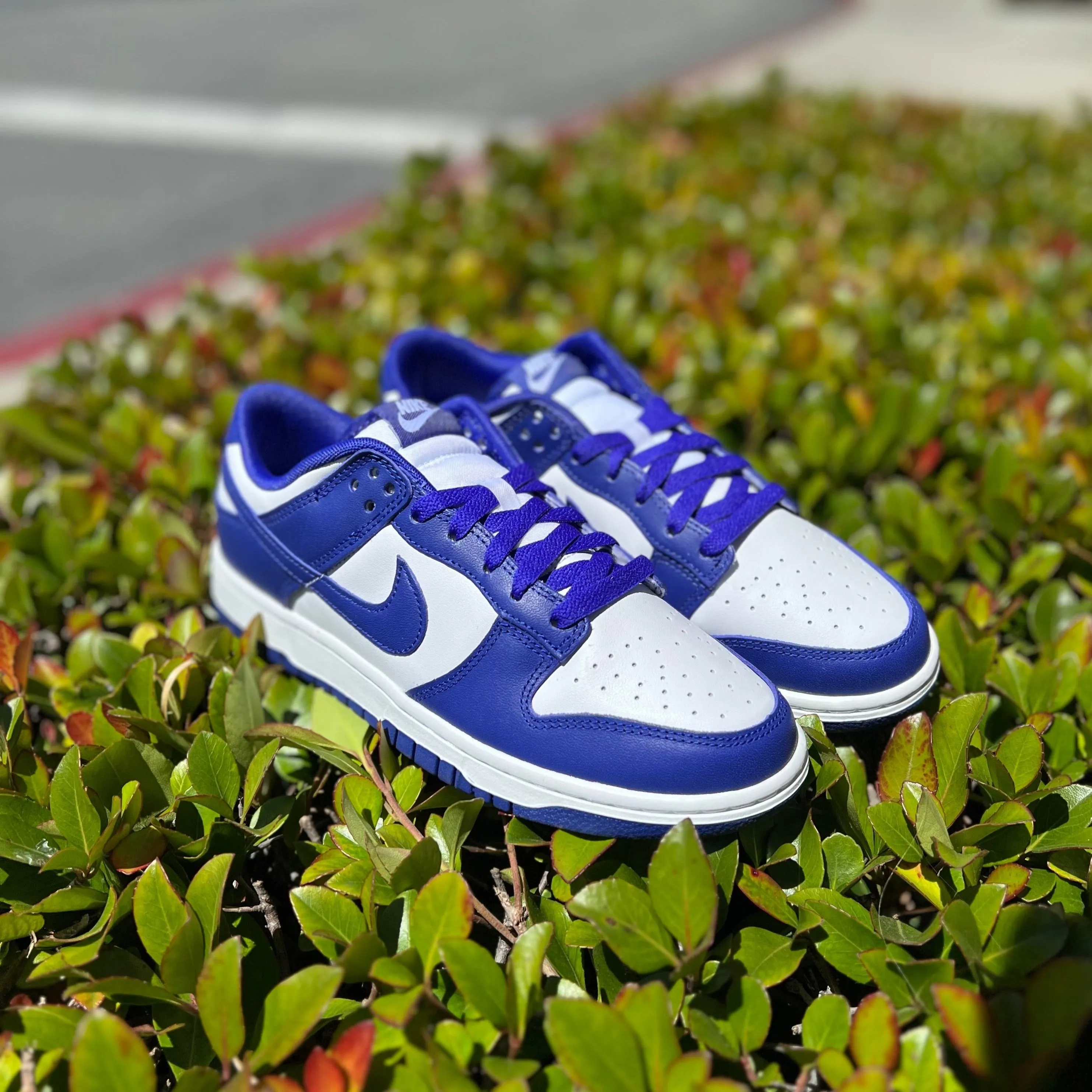 Nike Dunk Low 'WELCH'S GRAPE'